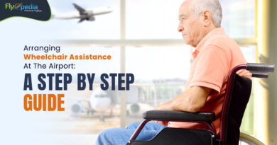 Arranging Wheelchair Assistance At The Airport A Step By Step Guide – flyopedia com