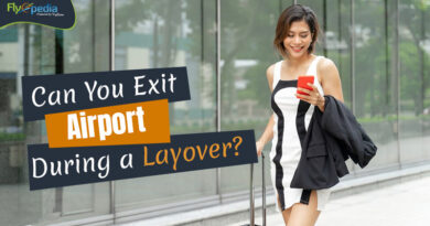 Can You Exit the Airport During a Layover Flyopedia com 2