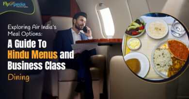 Exploring Air India's Meal Options A Guide To Hindu Menus And Business Class Dining – flyopedia com