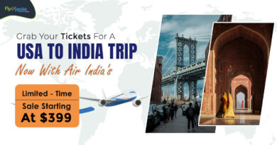 Grab Your Tickets For A USA To India Trip Now With Air India's Limited Time Sale Starting At $399 – flyopedia com