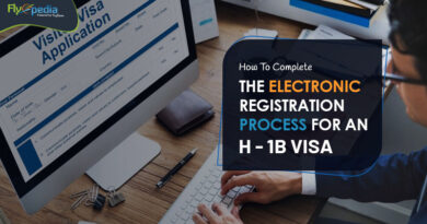 How To Complete The Electronic Registration Process For An H 1B Visa – flyopedia com