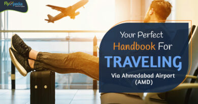 Your Perfect Handbook For Traveling Via Ahmedabad Airport (AMD) – flyopedia com (1)