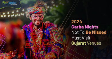 2024 Garba Nights Not To Be Missed Must Visit Gujarat Venues Flyopedia com