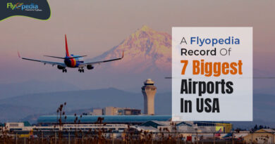 A Flyopedia Record Of 7 Biggest Airports In USA flyopedia com