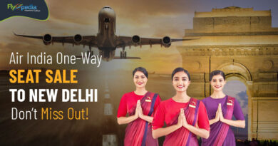 Air India One Way Seat Sale to New Delhi Don’t Miss Out! Flyopedia com