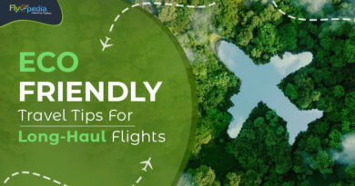 Eco Friendly Travel Tips For Long Haul Flights Flyopedia com