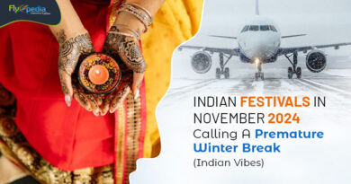 Indian Festivals In November 2024 Calling A Premature Winter Break (Indian Vibes) flyopedia com