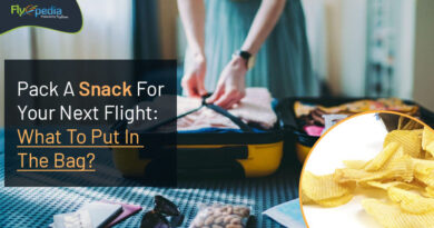 Pack A Snack For Your Next Flight What To Put In The Bag Flyopedia com