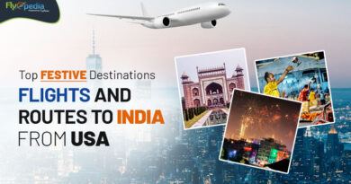 Top Festive Destinations Flights And Routes To India From USA Flyopedia com