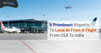 6 Prominent Airports To Land At From A Flight From USA To India