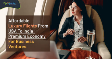 Affordable Luxury Flights From USA To India: Premium Economy For Business Ventures