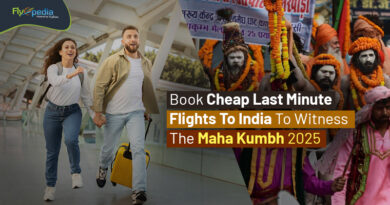 Book Cheap Last Minute Flights To India To Witness The Maha Kumbh 2025