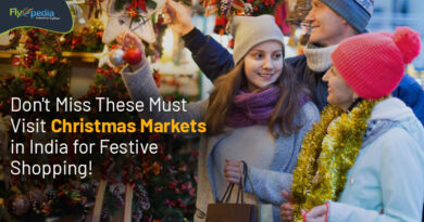 Don't Miss These Must Visit Christmas Markets in India for Festive Shopping! Flyopedia com