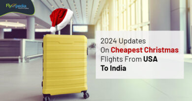 2024 Updates On Cheapest Christmas Flights From USA To India flyopedia com