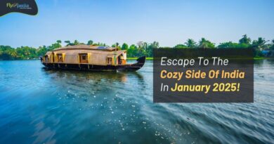 Escape To The Cozy Side Of India In January 2025! flyopedia com