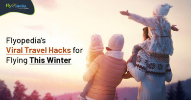 Flyopedia’s Viral Travel Hacks for Flying This Winter flyopedia com