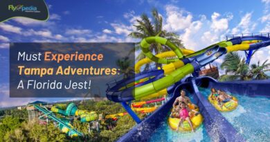 Must Experience Tampa Adventures A Florida Jest! flyopedia com