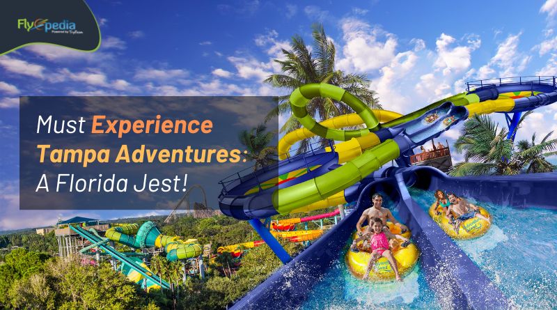 Must Experience Tampa Adventures A Florida Jest! flyopedia com