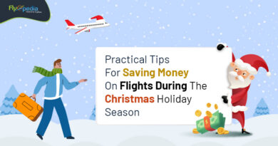 Practical Tips For Saving Money On Flights During The Christmas Holiday Season flyopedia com