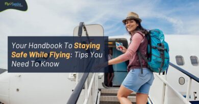 Your Handbook To Staying Safe While Flying Tips You Need To Know flyopedia com