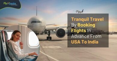 Tranquil Travel By Booking Flights In Advance From USA To India Flyopedia com